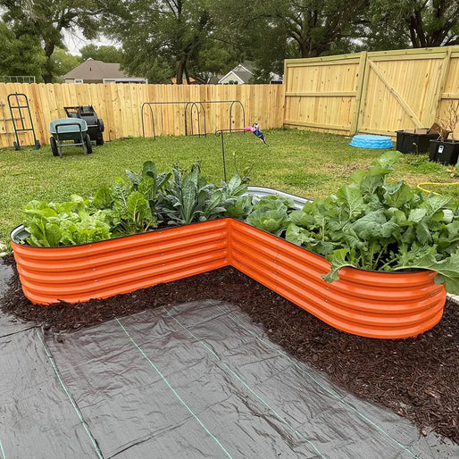 L-shaped raised garden bed growing veggies-Vegega