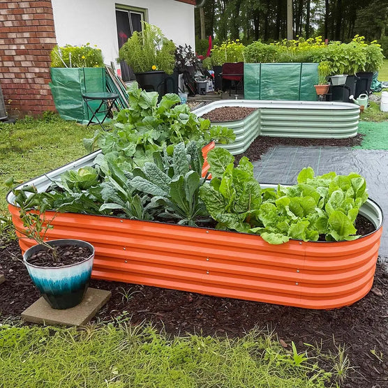 L-shaped raised garden bed growing plants-Vegega