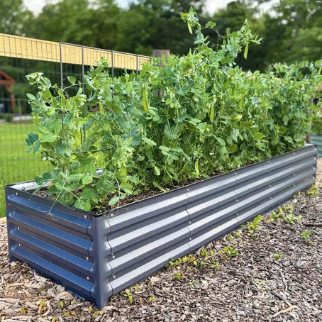 2x8 Rectangle Raised Garden Bed