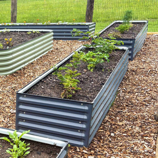 2x8 Rectangle Raised Bed