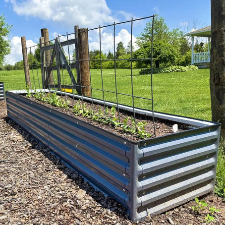 2x8 Rectangle Garden Bed