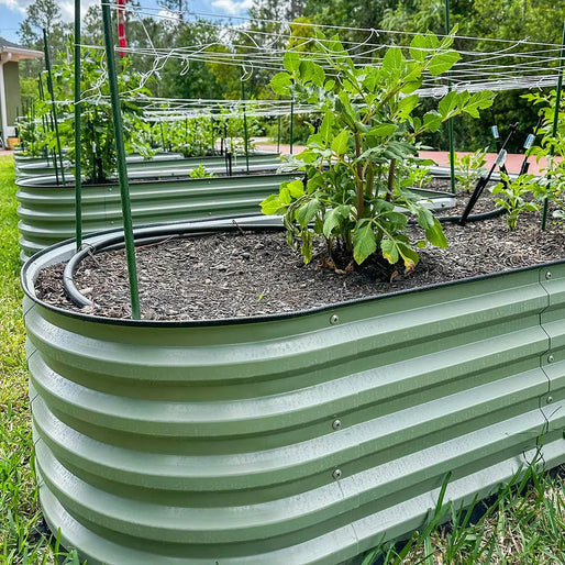 u-shaped-metal-garden-bed-with-irrigation-system-installed-Vegega.jpg__PID:ee5be7ad-c999-4a71-b450-a59d6149835b