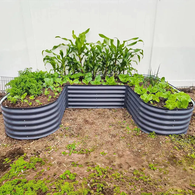 u-shaped raised bed gray growing crops