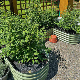 U-shaped Raised Garden Bed grow veggies-vegega metal raised bed