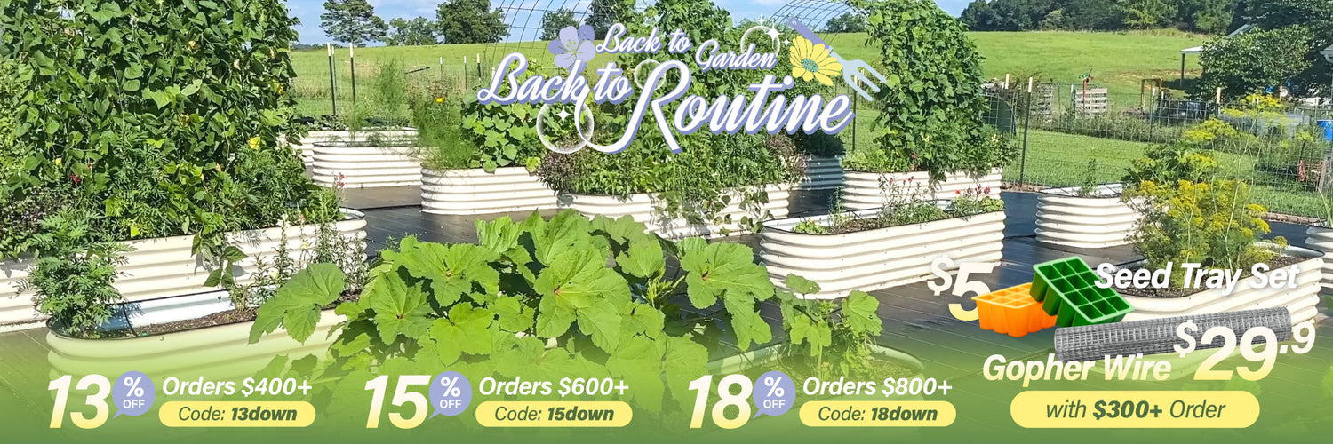 1920×640-250730-Back to Garden.jpg__PID:3fff0a1c-d4db-4423-a5b9-ef15ae5f0476