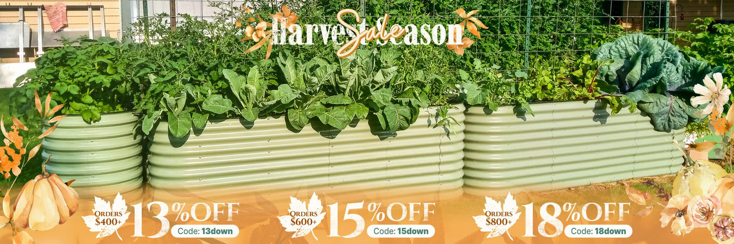 Harvest Season Sale of Vegega metal raised garden beds