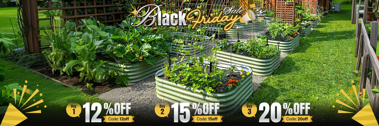 1920×640-251105-BlackFriday.jpg__PID:45bbea82-26c2-4df9-8278-893501428a9b