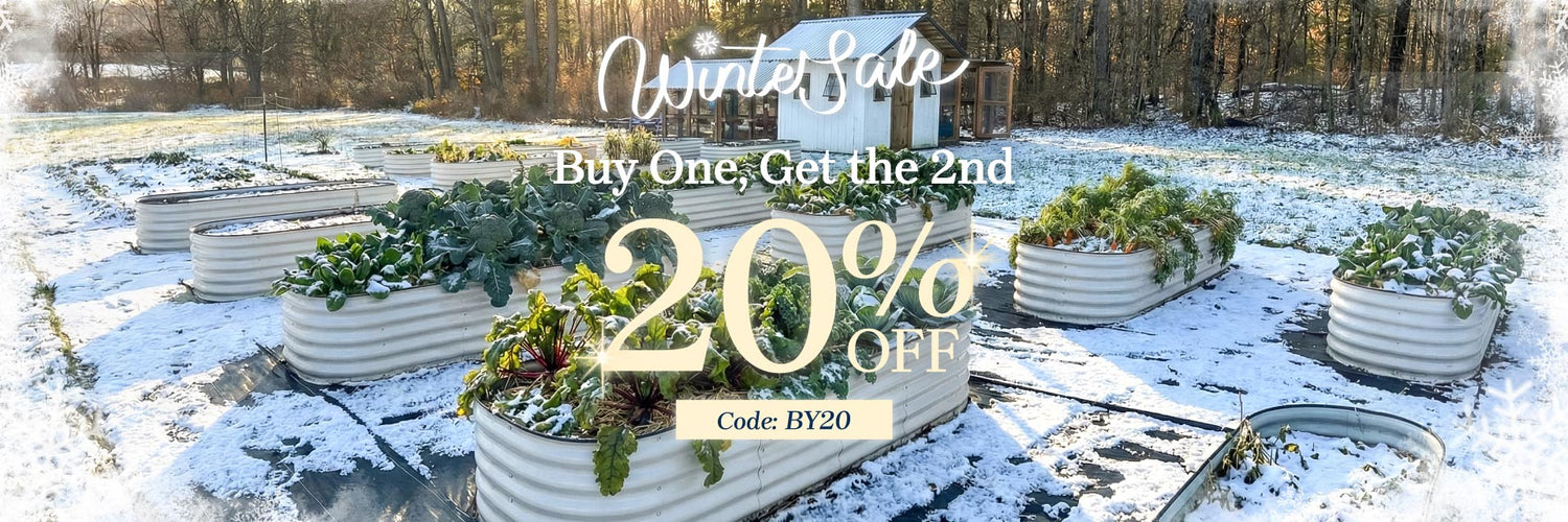 1920×640-251204-winter.jpg__PID:e2096fa3-baed-4cab-932e-0666ed1d33bd