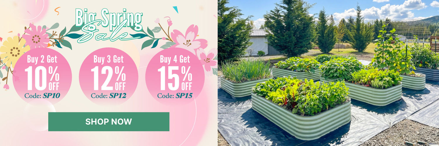 1920×640-260313-Spring.jpg__PID:2a72975a-f38f-404e-9952-e651b772c951