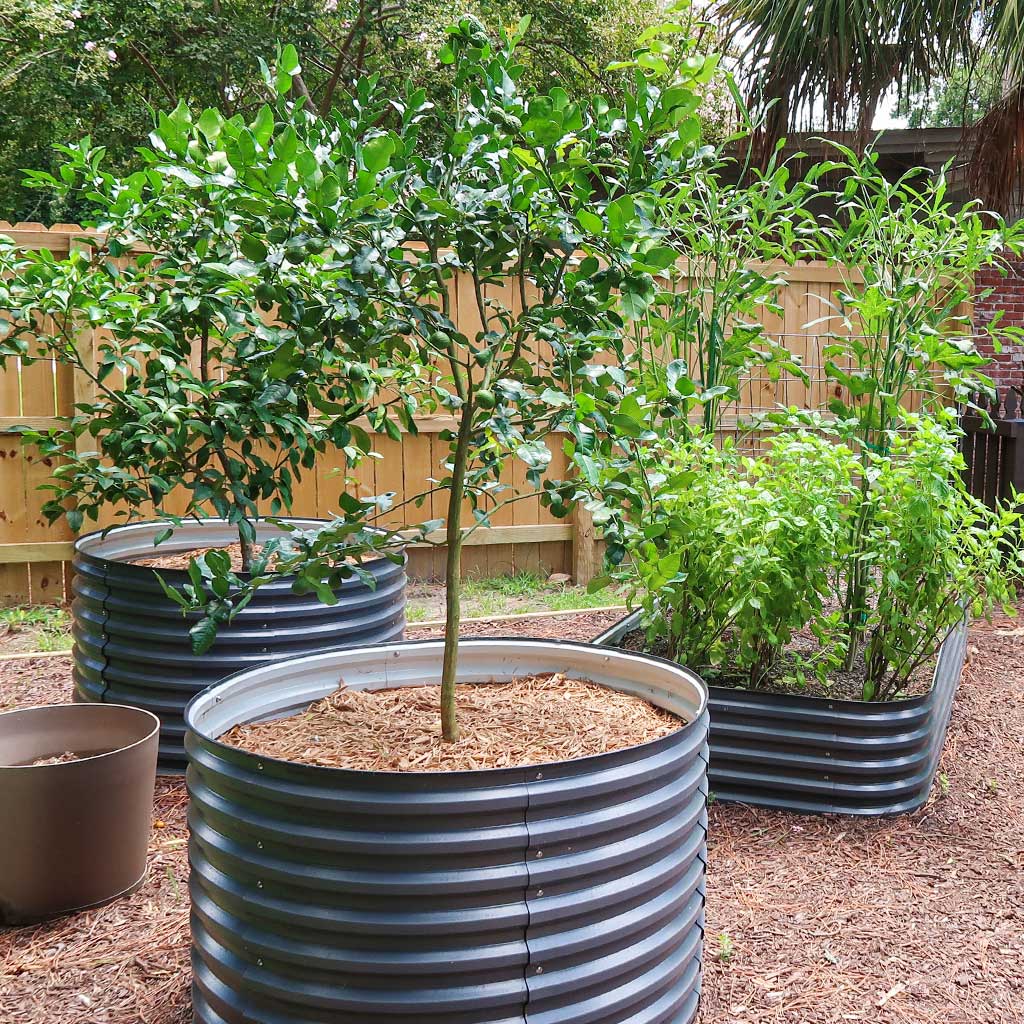 large plastic plant grow bed Vegega 32" Tall 42" Round Raised Garden Bed Modular Corrugated Metal, Night Blue