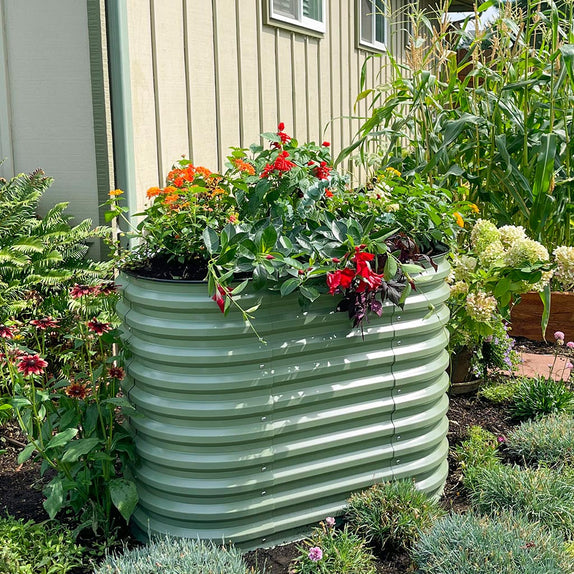galvanized steel raised garden bed grows flowers-Vegega