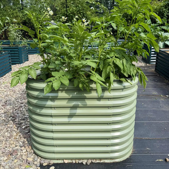 galvanized steel raised garden bed
