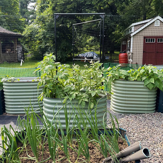 galvanized steel raised garden bed