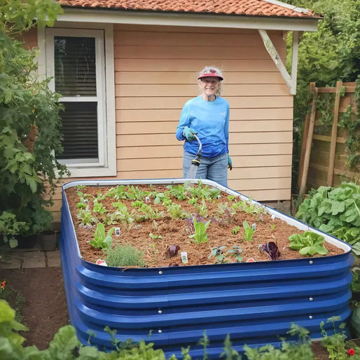 blue galvanized steel raised bed 8x4-Vegega