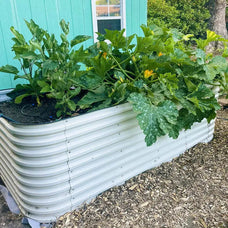 Galvanized Steel Raised Beds