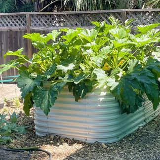 Galvanized Steel Raised Beds