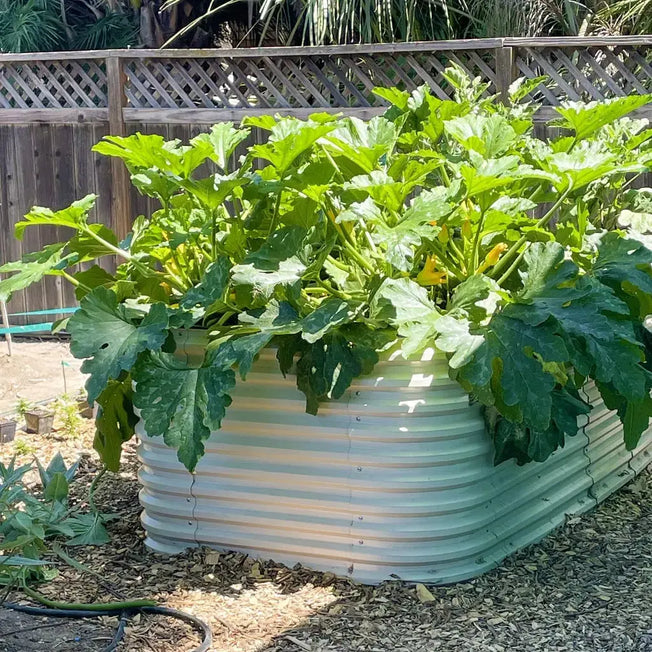 Galvanized Steel Raised Beds