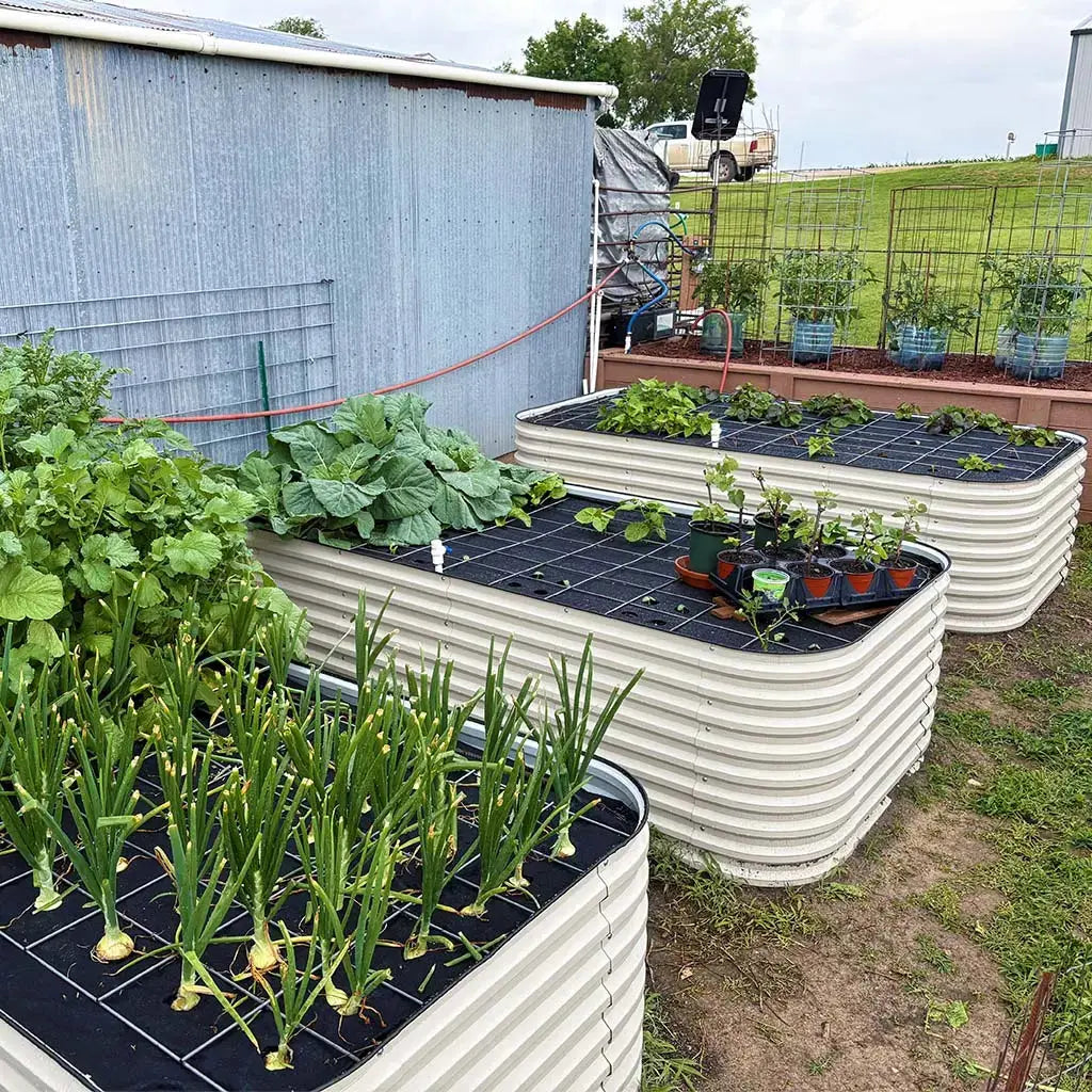 8x4 Galvanized Steel Raised Beds