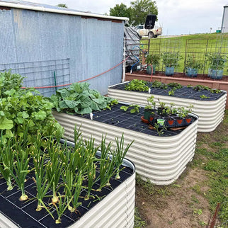 8x4 Galvanized Steel Raised Beds