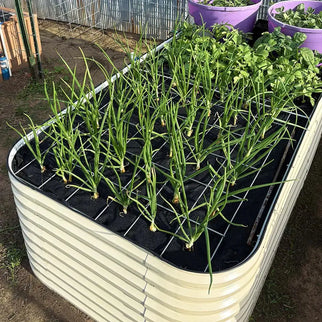 8x4 Galvanized Steel Raised Beds