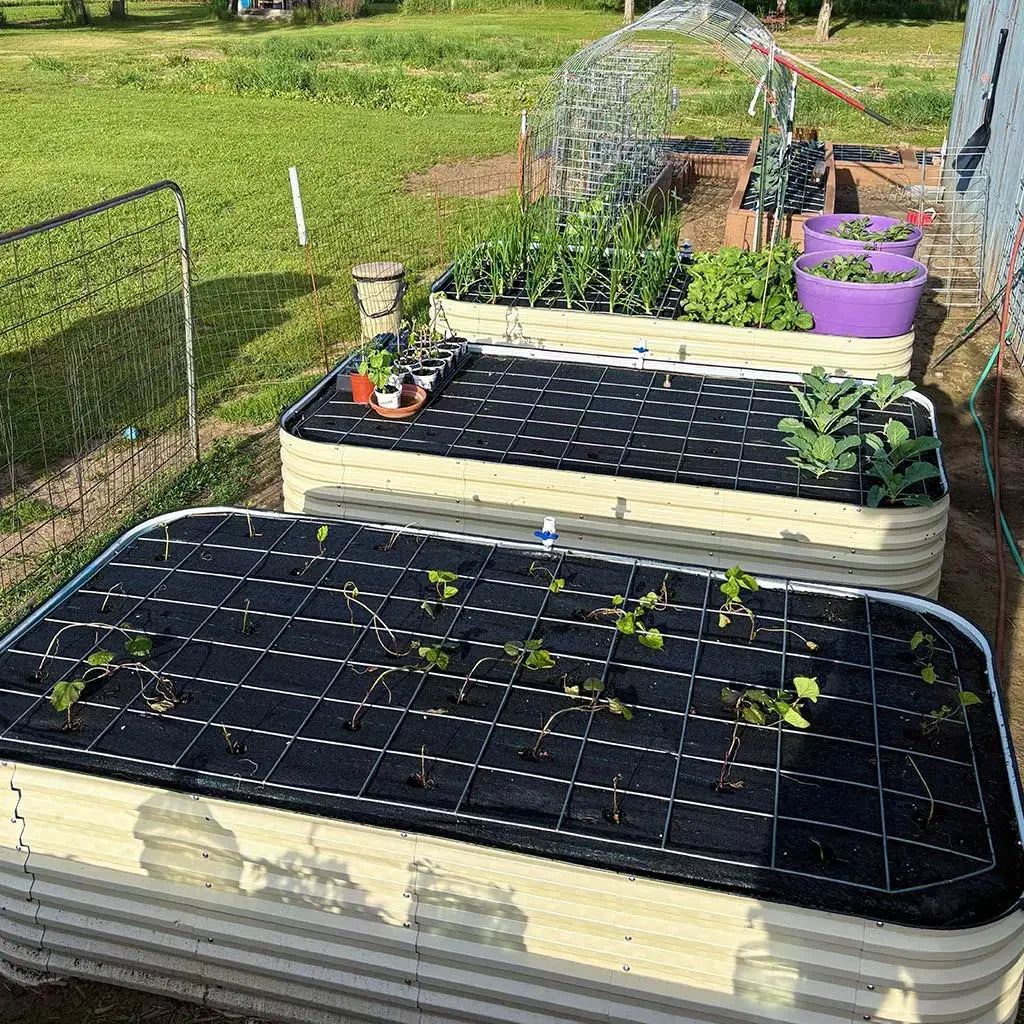 8x4 Galvanized Steel Raised Beds