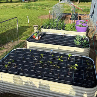 8x4 Galvanized Steel Raised Beds