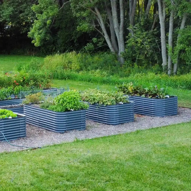  8x4 Galvanized Steel Raised Beds