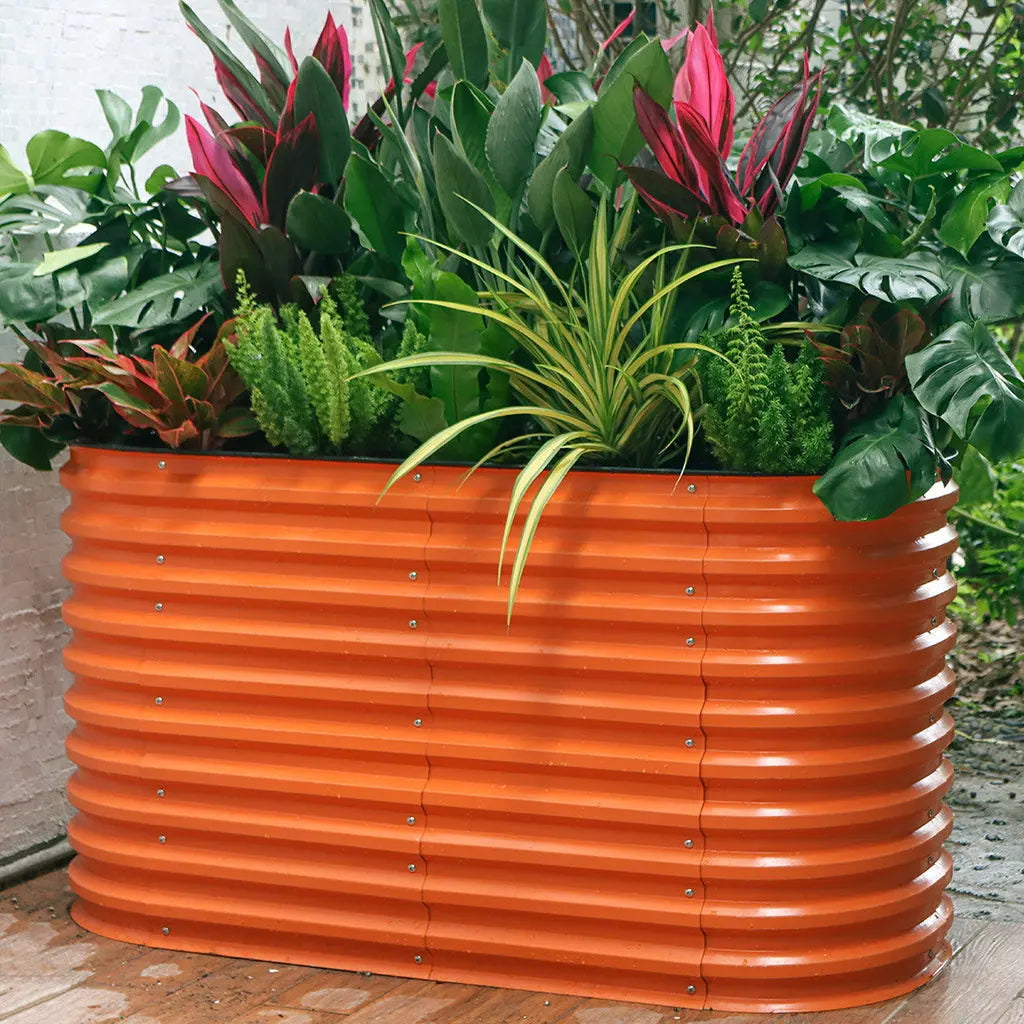 growing flowers in an orange galvanized flower bed-Vegega