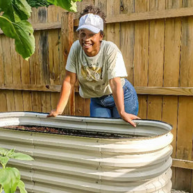 white galvanized flower bed growing veggies-Vegega