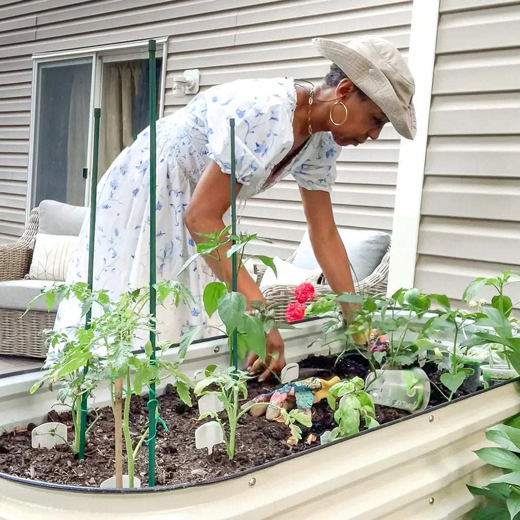 a woman grow plants in a white galvanized flower bed-Vegega