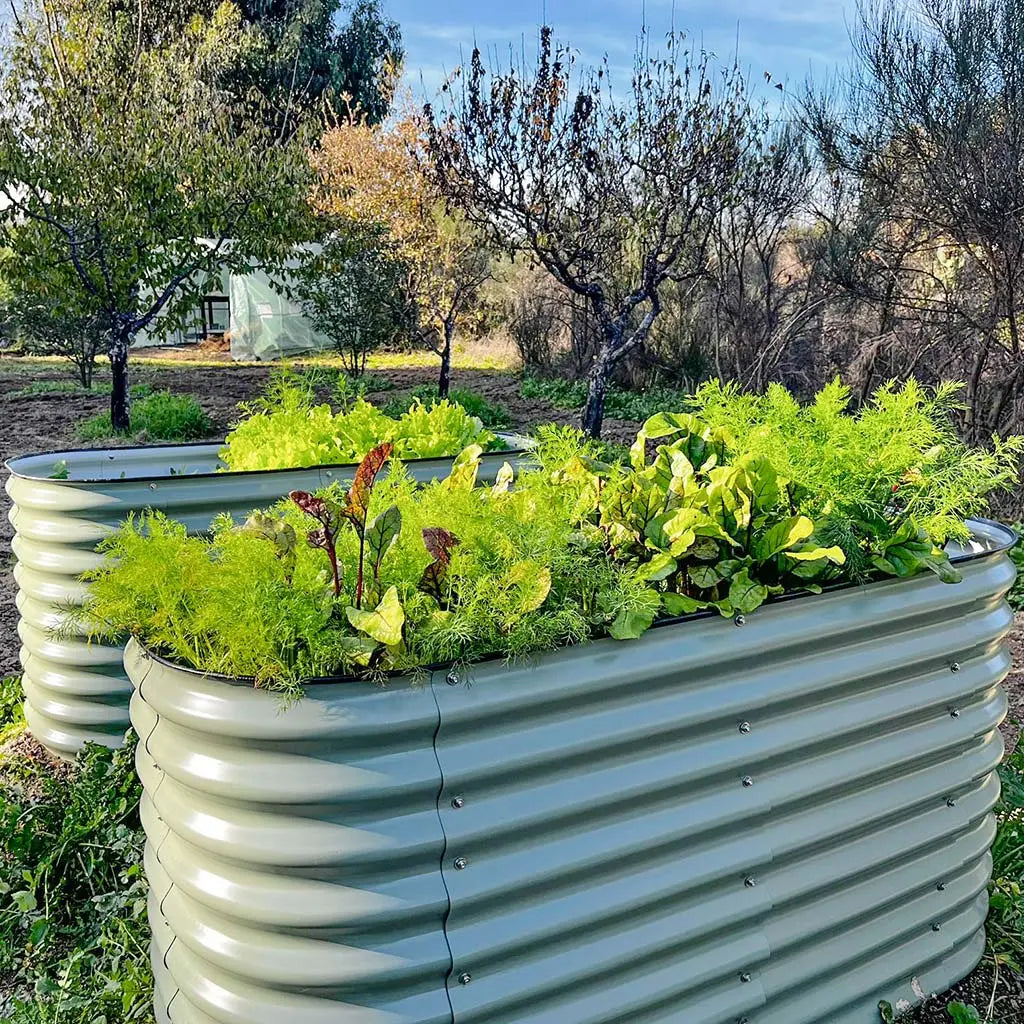 32'' Tall 5x2 Galvanized Flower Bed (4 in 1)【Upgrade 2.0】
