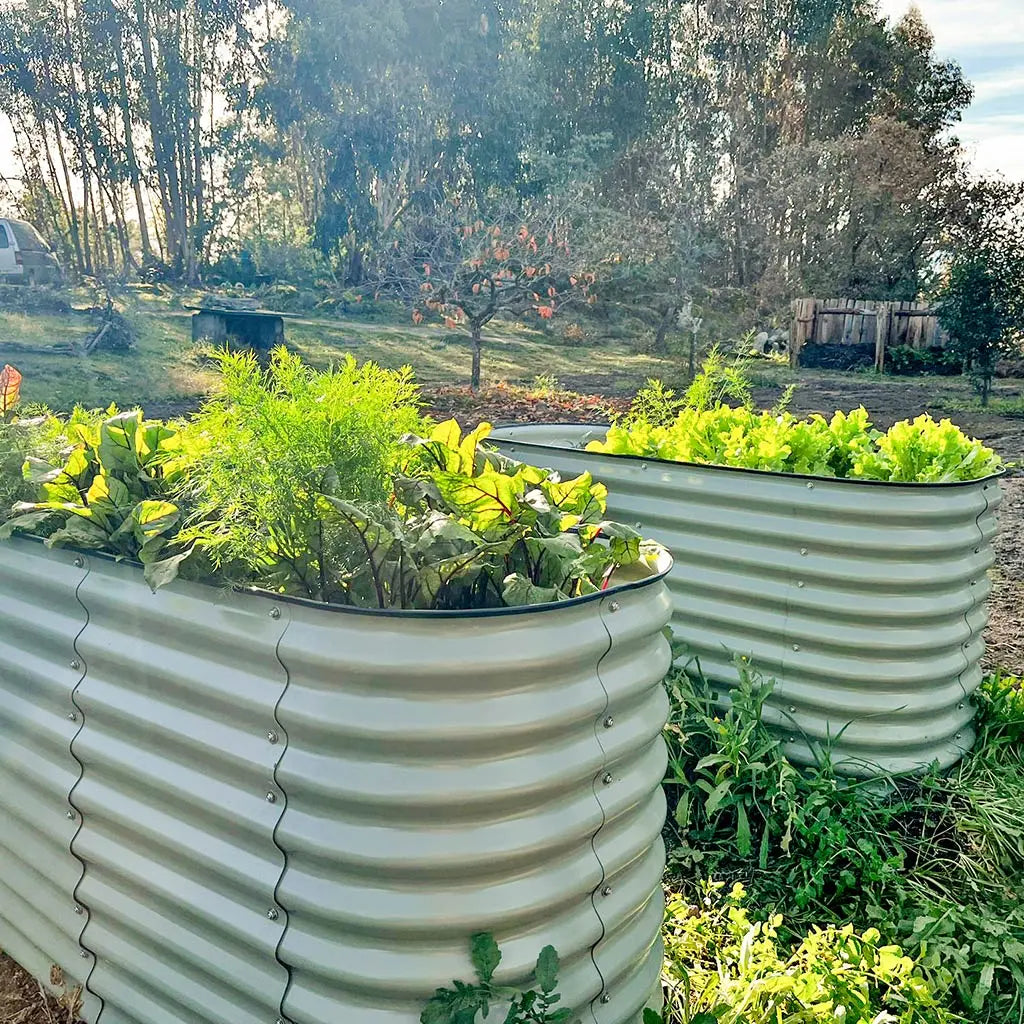 32'' Tall 5x2 Galvanized Flower Bed (4 in 1)【Upgrade 2.0】