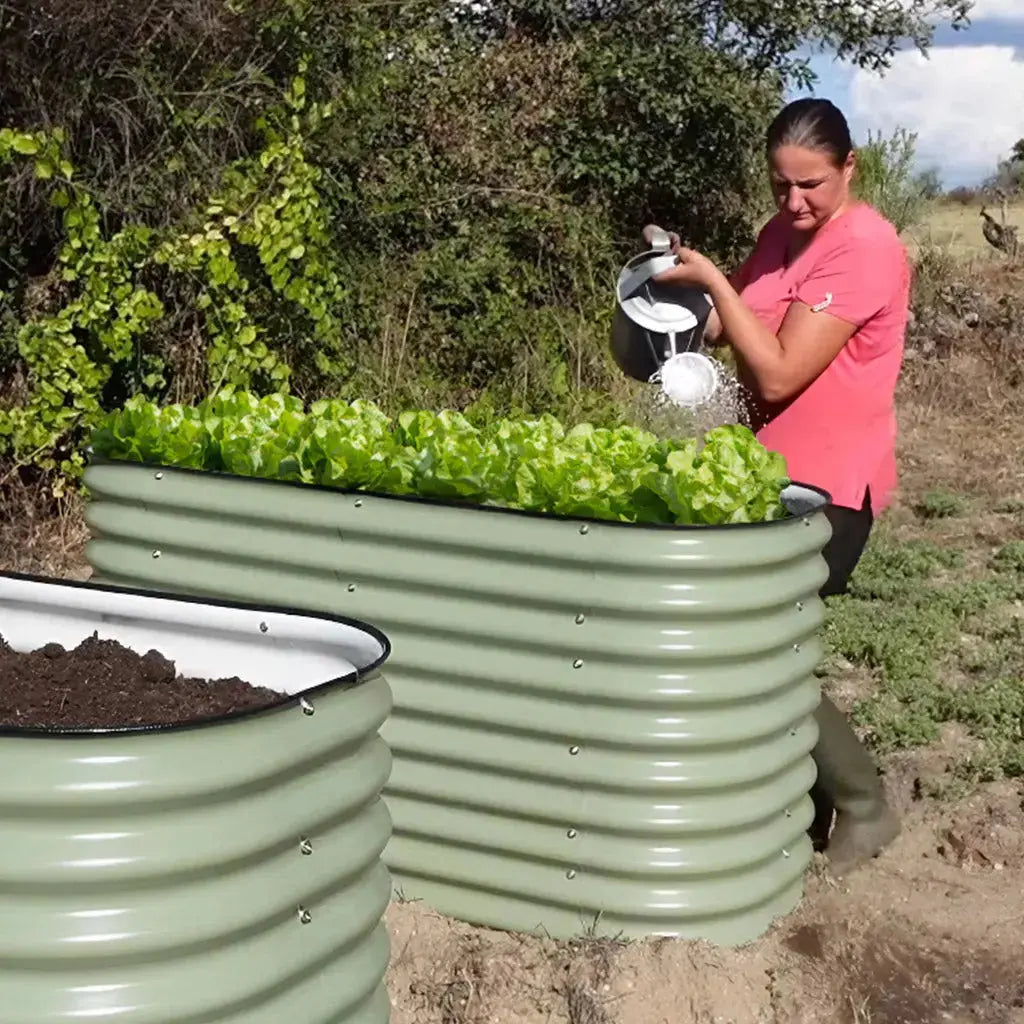 5x2 Galvanized Flower Bed