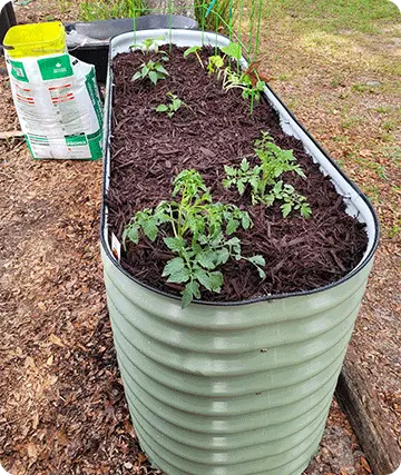 32 inch raised bed green-Vegega