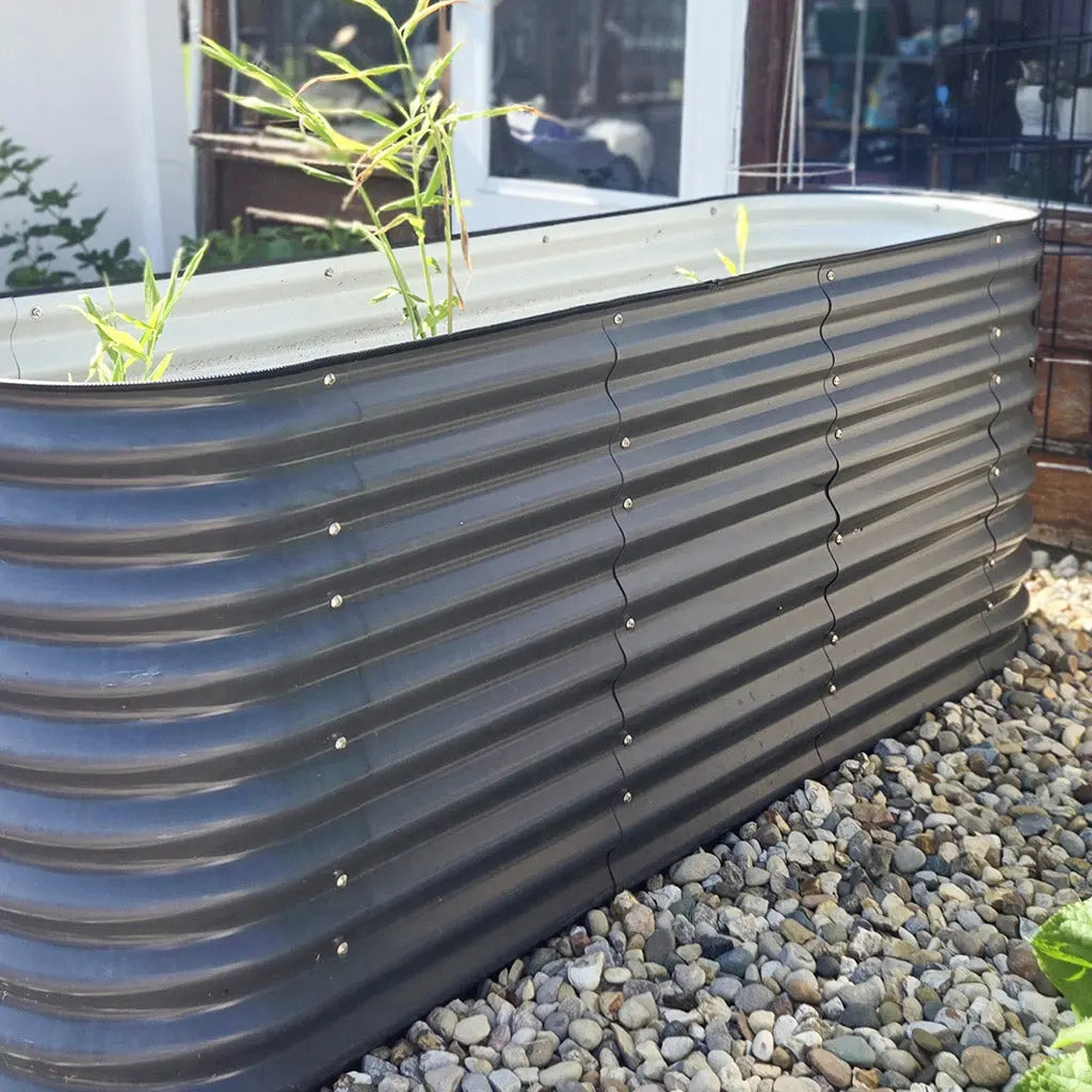 6.5x2 Galvanized Flower Bed growing plants