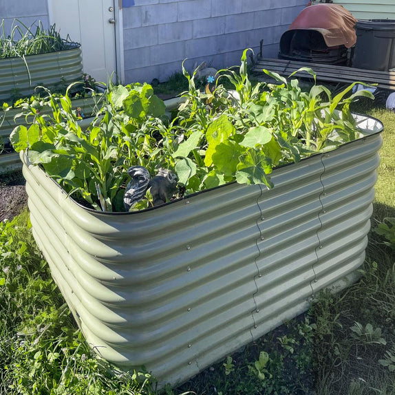 5x2 Galvanized Flower Bed growing plants