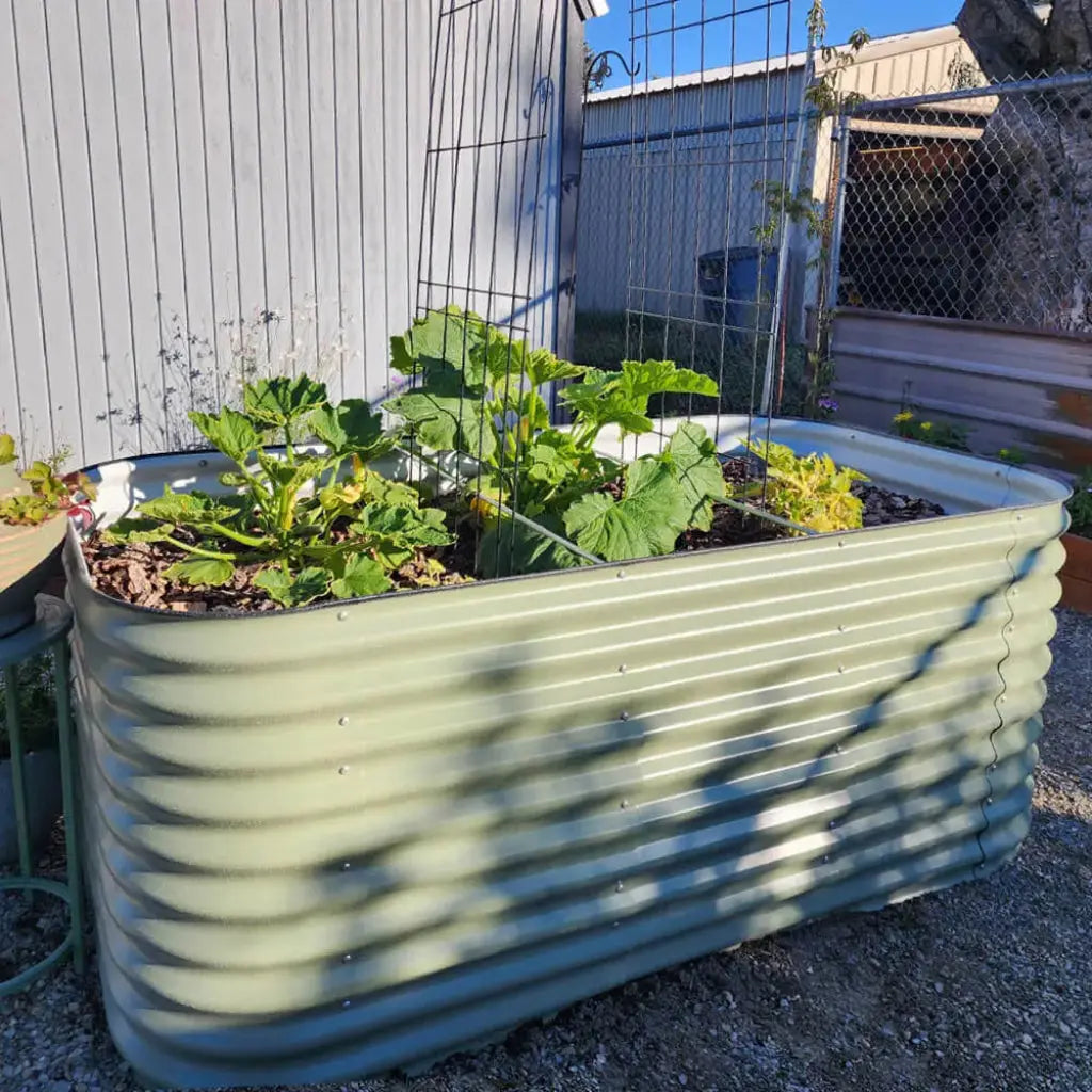 32-inch tall galvanized raised garden bed growing plants-Vegega