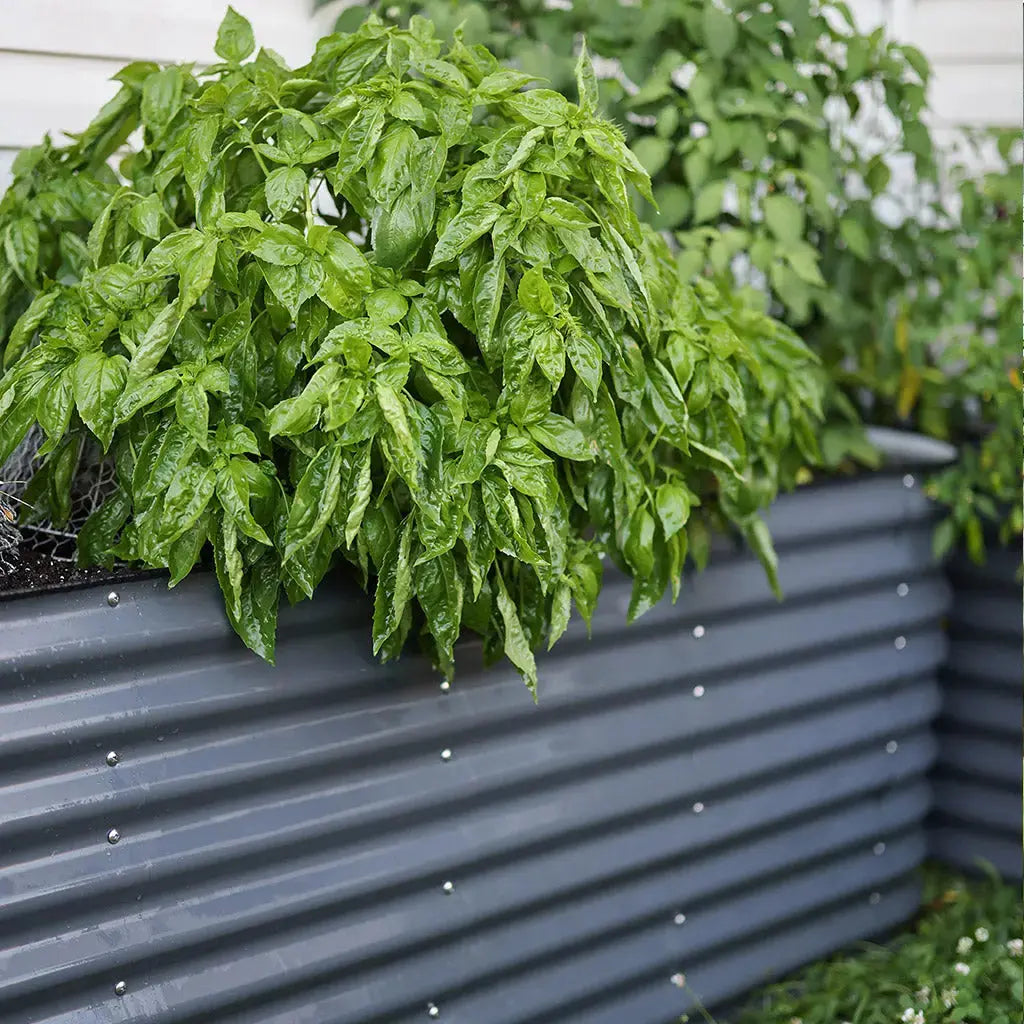 galvanized steel garden bed kit