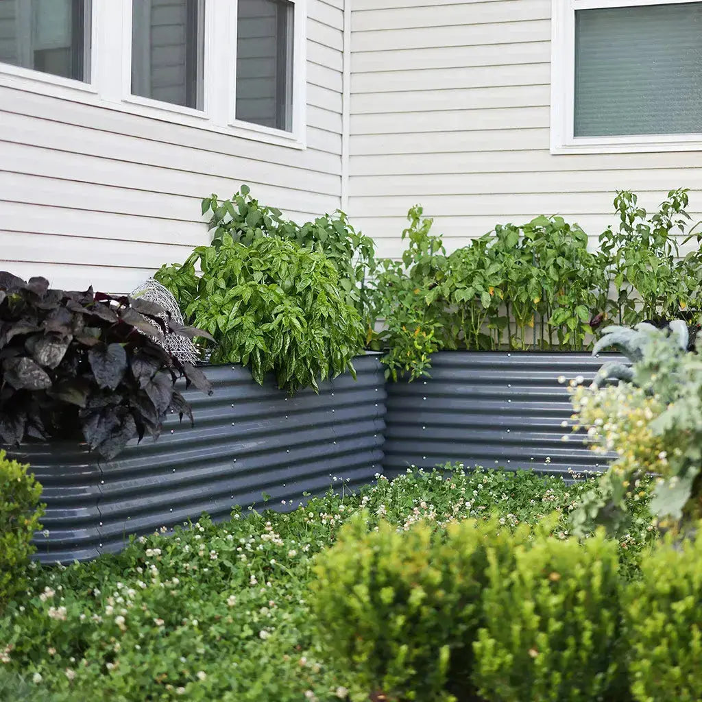 land guard galvanized raised garden bed kit