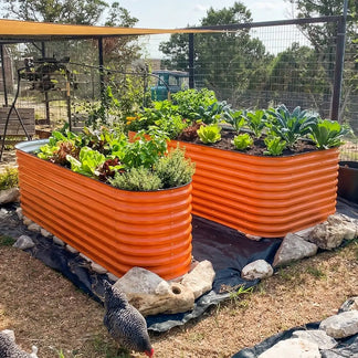 32'' Tall 8x2 Waist-high Metal Raised Garden Bed Kit (9 in 1)【Upgrade 2.0】 Vegega