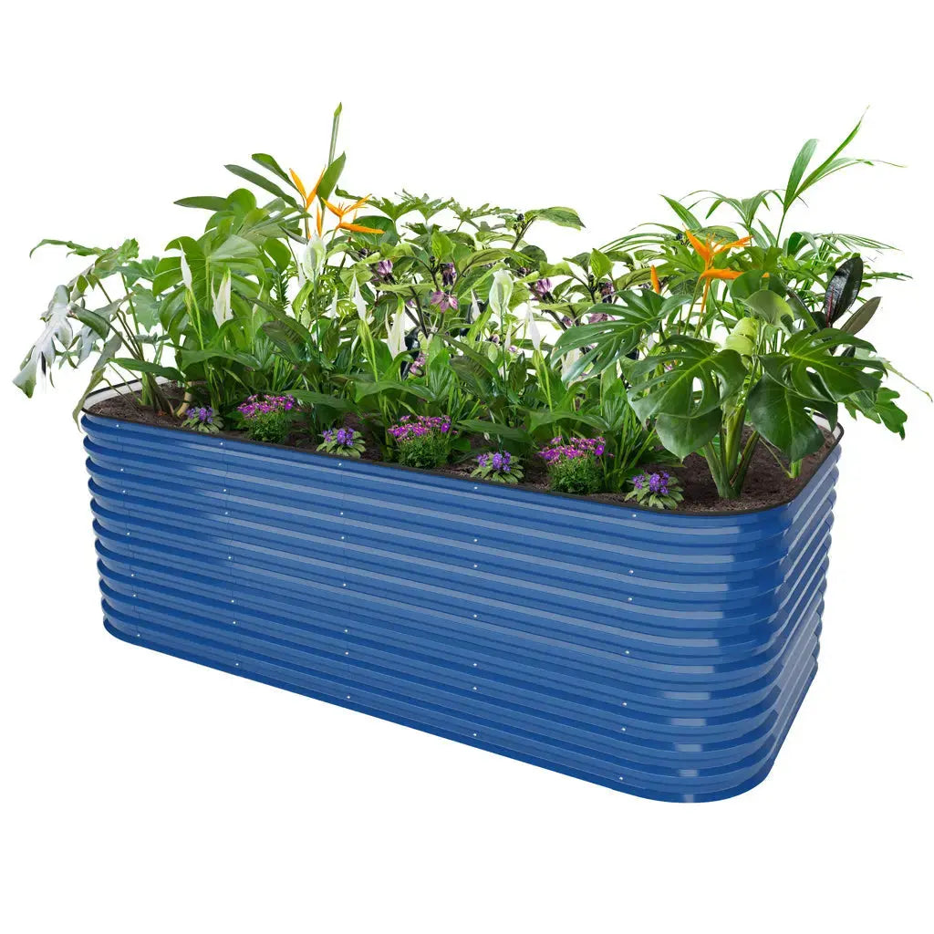 steel house plant Night blue