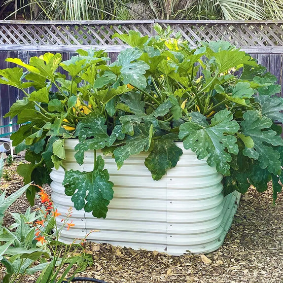 32'' Tall 8x4 Galvanized Steel Raised Beds (10 in 1)【Upgrade 2.0】