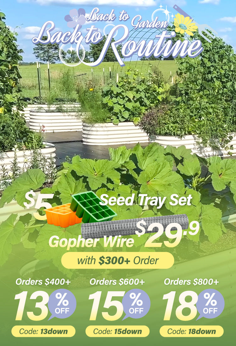 750×1100-250730-Back to Garden.jpg__PID:7b3fff0a-1cd4-4b74-a3a5-b9ef15ae5f04