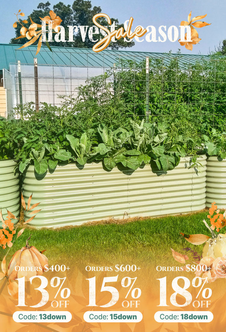 Harvest Season Sale of Vegega metal raised garden beds
