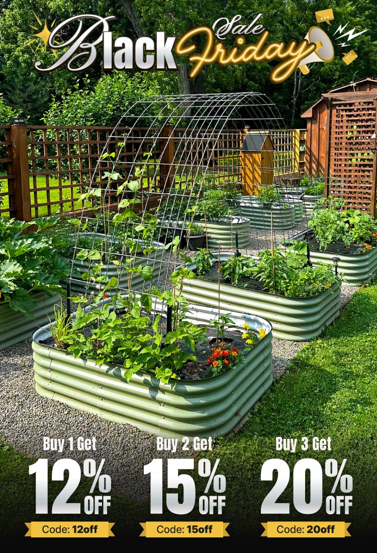 750×1100-251105-BlackFriday.jpg__PID:b945bbea-8226-429d-b982-78893501428a