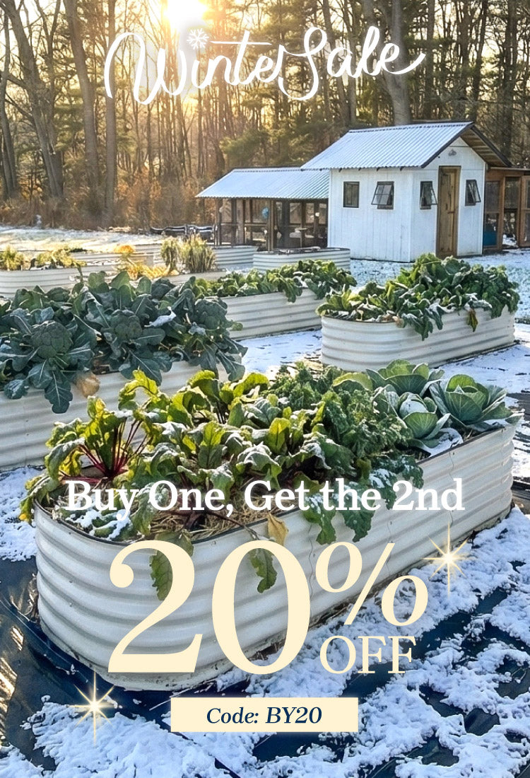 750×1100-251204-winter.jpg__PID:4ae2096f-a3ba-4d1c-ab53-2e0666ed1d33