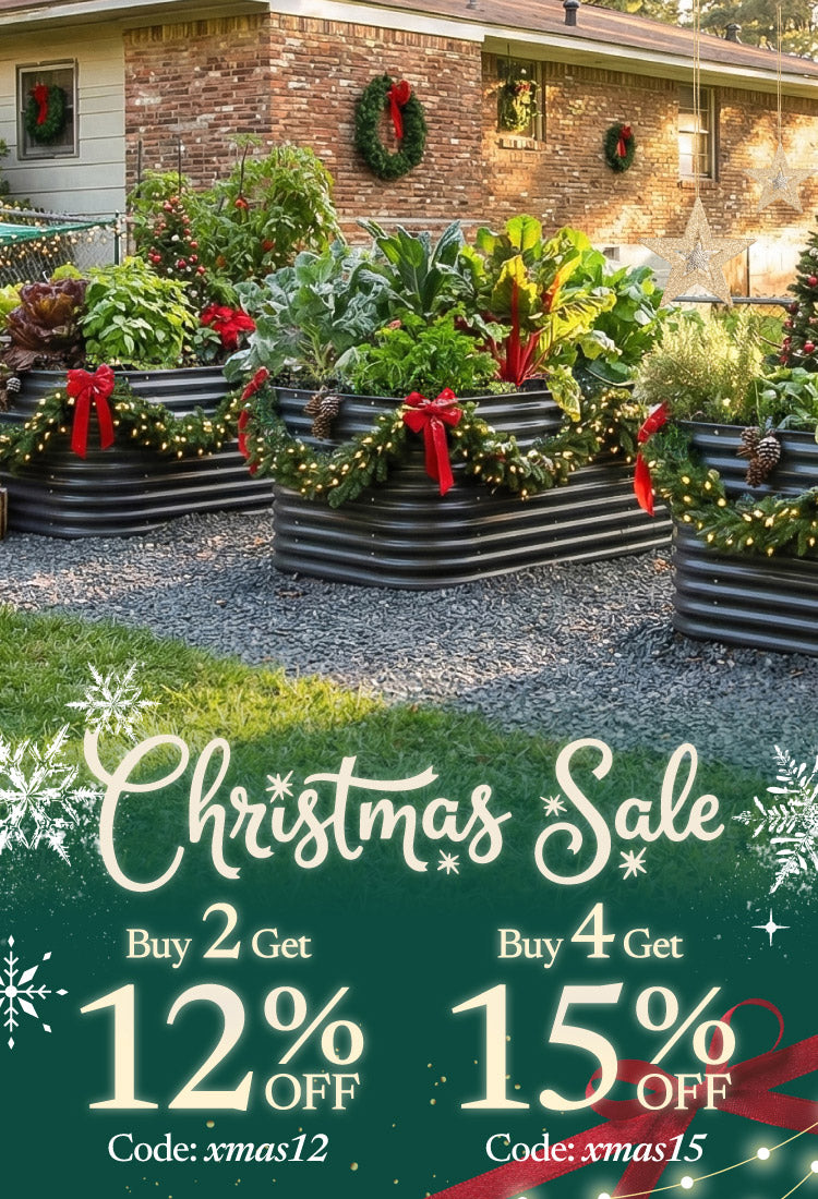 750×1100-251211-Christmas.jpg__PID:53612de9-19c4-4e17-937c-2f0a4074e9b2