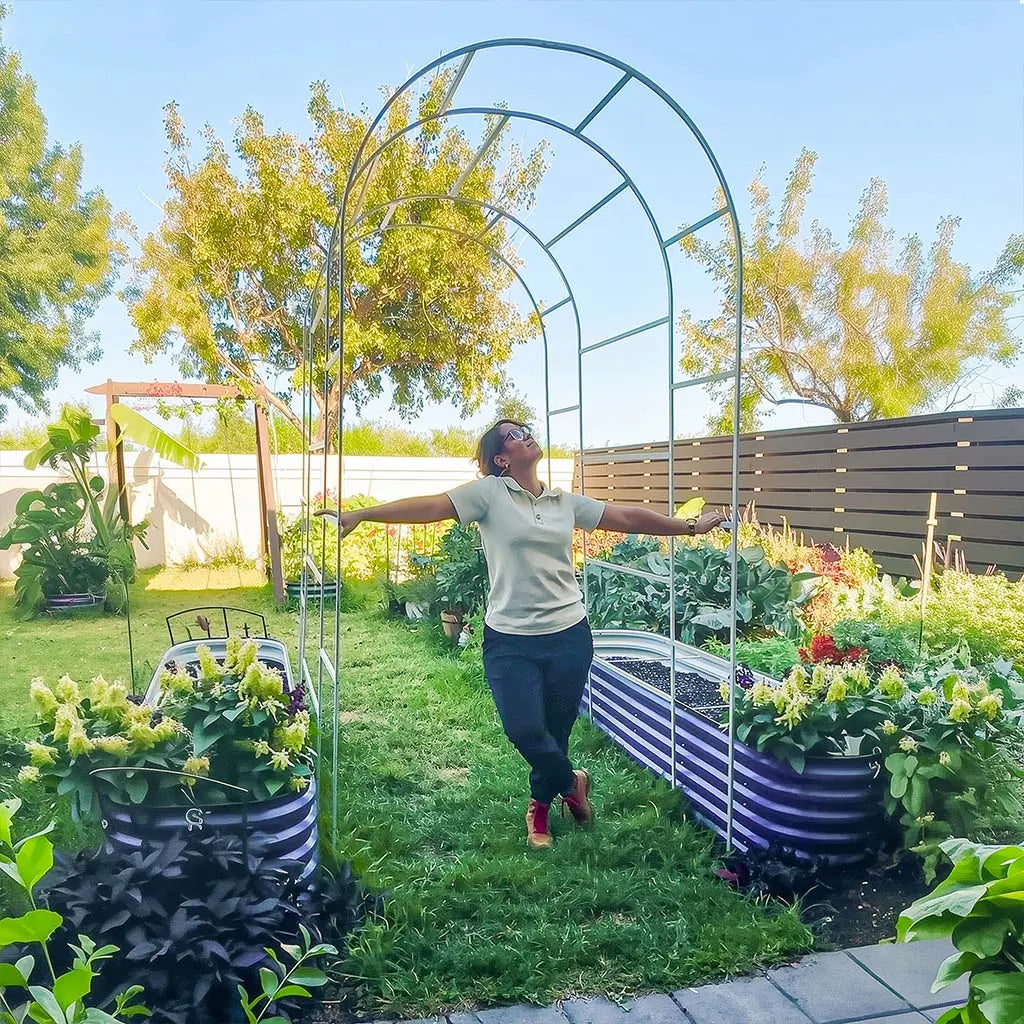 arch trellis installed on metal garden beds
