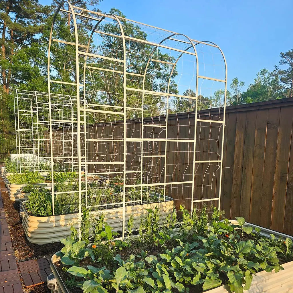 arch metal trellises