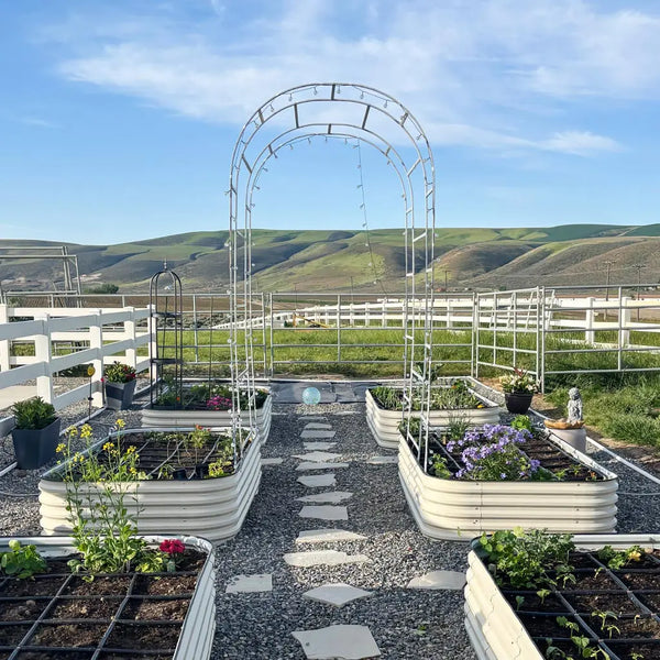 Arched Trellis (Zn-Al-Mg Steel) For 8ft.L/ For 6.5ft.L